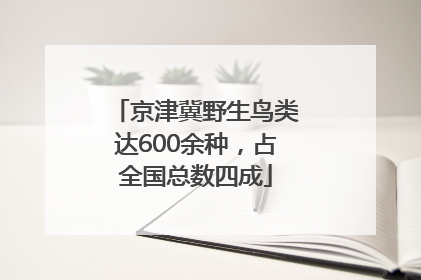 京津冀野生鸟类达600余种，占全国总数四成
