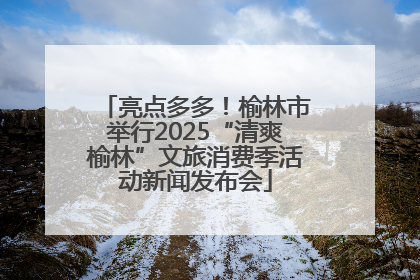 亮点多多！榆林市举行2025“清爽榆林”文旅消费季活动新闻发布会