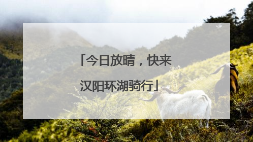 今日放晴，快来汉阳环湖骑行