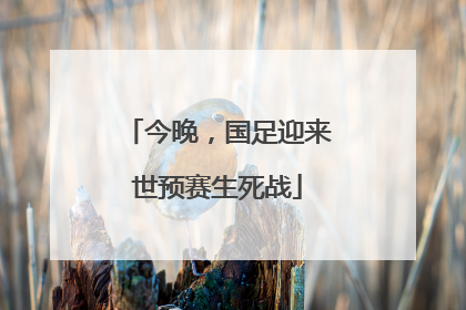 今晚，国足迎来世预赛生死战