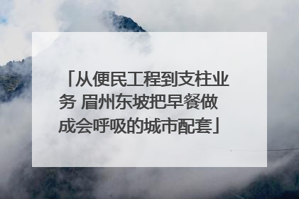从便民工程到支柱业务 眉州东坡把早餐做成会呼吸的城市配套