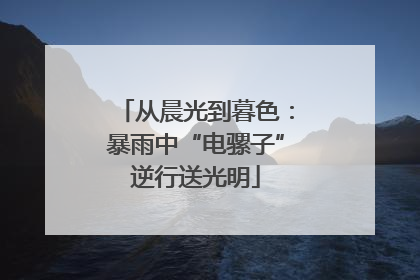 从晨光到暮色：暴雨中“电骡子”逆行送光明