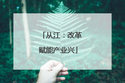 从江：改革赋能产业兴