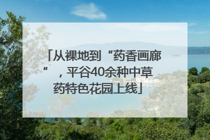 从裸地到“药香画廊”，平谷40余种中草药特色花园上线