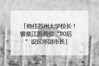 他任苏州大学校长！曾是江苏首位“80后”设区市副市长