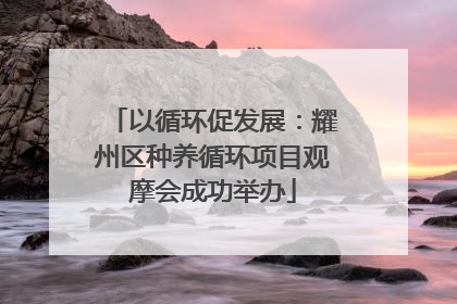 以循环促发展：耀州区种养循环项目观摩会成功举办