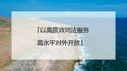 以高质效司法服务高水平对外开放