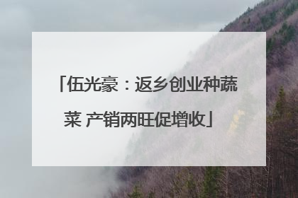 伍光豪：返乡创业种蔬菜 产销两旺促增收