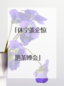 休宁茶企惊艳茶博会