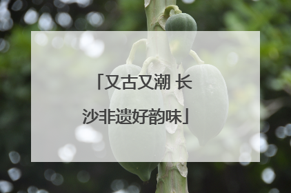 又古又潮 长沙非遗好韵味