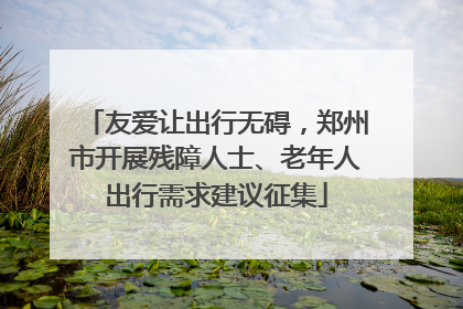 友爱让出行无碍，郑州市开展残障人士、老年人出行需求建议征集