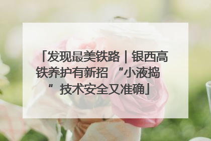 发现最美铁路｜银西高铁养护有新招 “小液捣”技术安全又准确