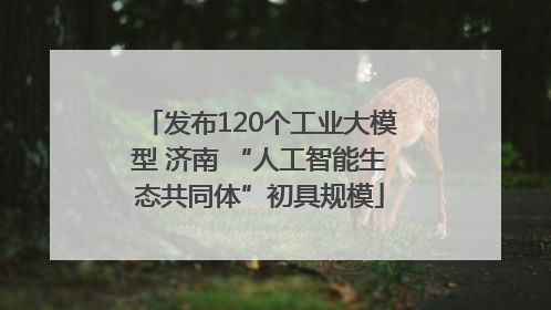发布120个工业大模型 济南 “人工智能生态共同体”初具规模
