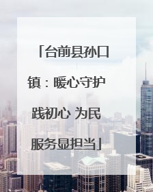 台前县孙口镇：暖心守护践初心 为民服务显担当