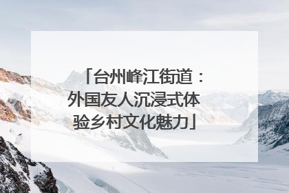 台州峰江街道：外国友人沉浸式体验乡村文化魅力