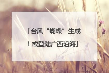 台风“蝴蝶”生成！或登陆广西沿海