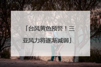 台风黄色预警！三亚风力将逐渐减弱