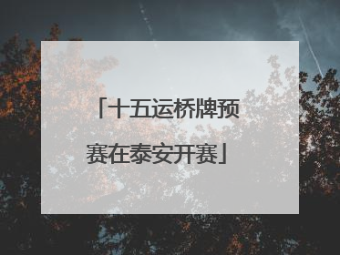 十五运桥牌预赛在泰安开赛