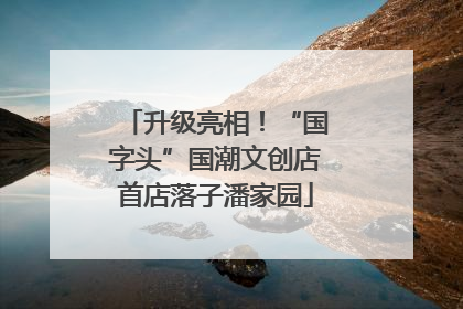 升级亮相！“国字头”国潮文创店首店落子潘家园