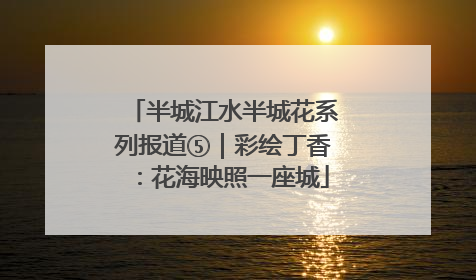 半城江水半城花系列报道⑤｜彩绘丁香：花海映照一座城