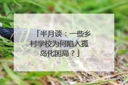 半月谈：一些乡村学校为何陷入孤岛化困局？