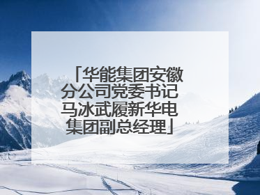 华能集团安徽分公司党委书记马冰武履新华电集团副总经理