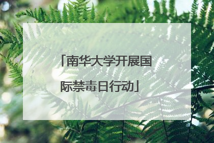 南华大学开展国际禁毒日行动