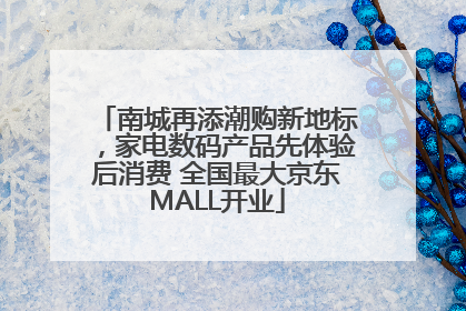 南城再添潮购新地标，家电数码产品先体验后消费 全国最大京东MALL开业