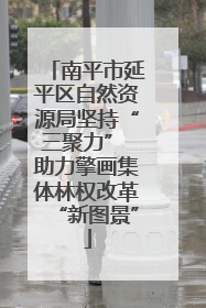 南平市延平区自然资源局坚持“三聚力” 助力擎画集体林权改革“新图景”