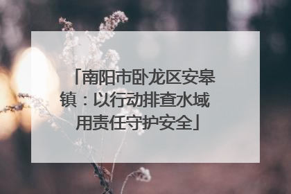 南阳市卧龙区安皋镇：以行动排查水域 用责任守护安全