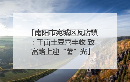 南阳市宛城区瓦店镇：千亩土豆喜丰收 致富路上迎“薯”光