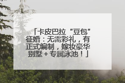 卡皮巴拉“豆包”征婚：无需彩礼，有正式编制，嫁妆豪华别墅＋专属泳池！