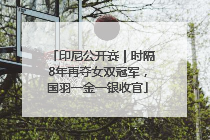 印尼公开赛｜时隔8年再夺女双冠军，国羽一金一银收官