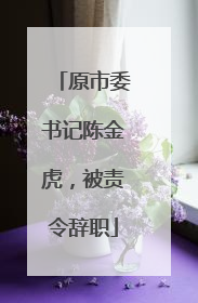 原市委书记陈金虎，被责令辞职