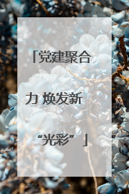 党建聚合力 焕发新“光彩”