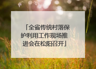 全省传统村落保护利用工作现场推进会在松阳召开