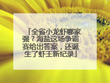 全省小龙虾哪家强？海盐这场争霸赛给出答案，还诞生了虾王新纪录