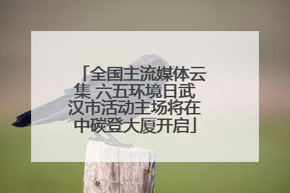 全国主流媒体云集 六五环境日武汉市活动主场将在中碳登大厦开启