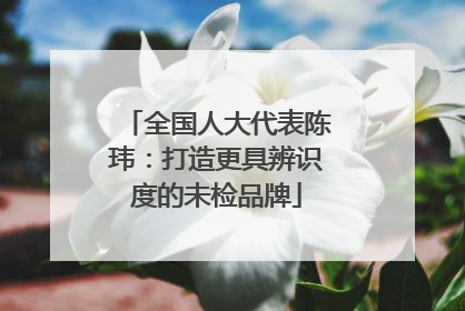 全国人大代表陈玮：打造更具辨识度的未检品牌
