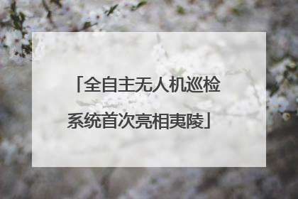 全自主无人机巡检系统首次亮相夷陵