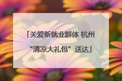 关爱新就业群体 杭州“清凉大礼包”送达