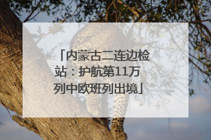 内蒙古二连边检站：护航第11万列中欧班列出境