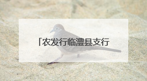 农发行临澧县支行开展消防安全培训