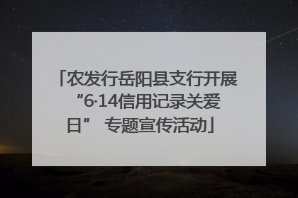 农发行岳阳县支行开展“6·14信用记录关爱日” 专题宣传活动