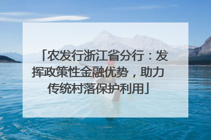 农发行浙江省分行：发挥政策性金融优势，助力传统村落保护利用