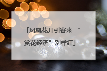 凤凰花开引客来 “赏花经济”别样红