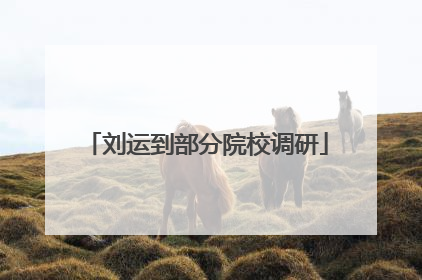 刘运到部分院校调研
