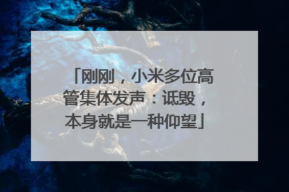 刚刚，小米多位高管集体发声：诋毁，本身就是一种仰望