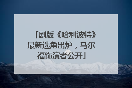 剧版《哈利波特》最新选角出炉，马尔福饰演者公开