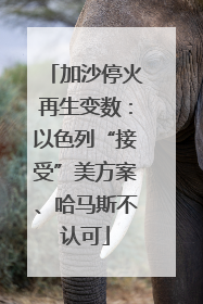 加沙停火再生变数：以色列“接受”美方案、哈马斯不认可